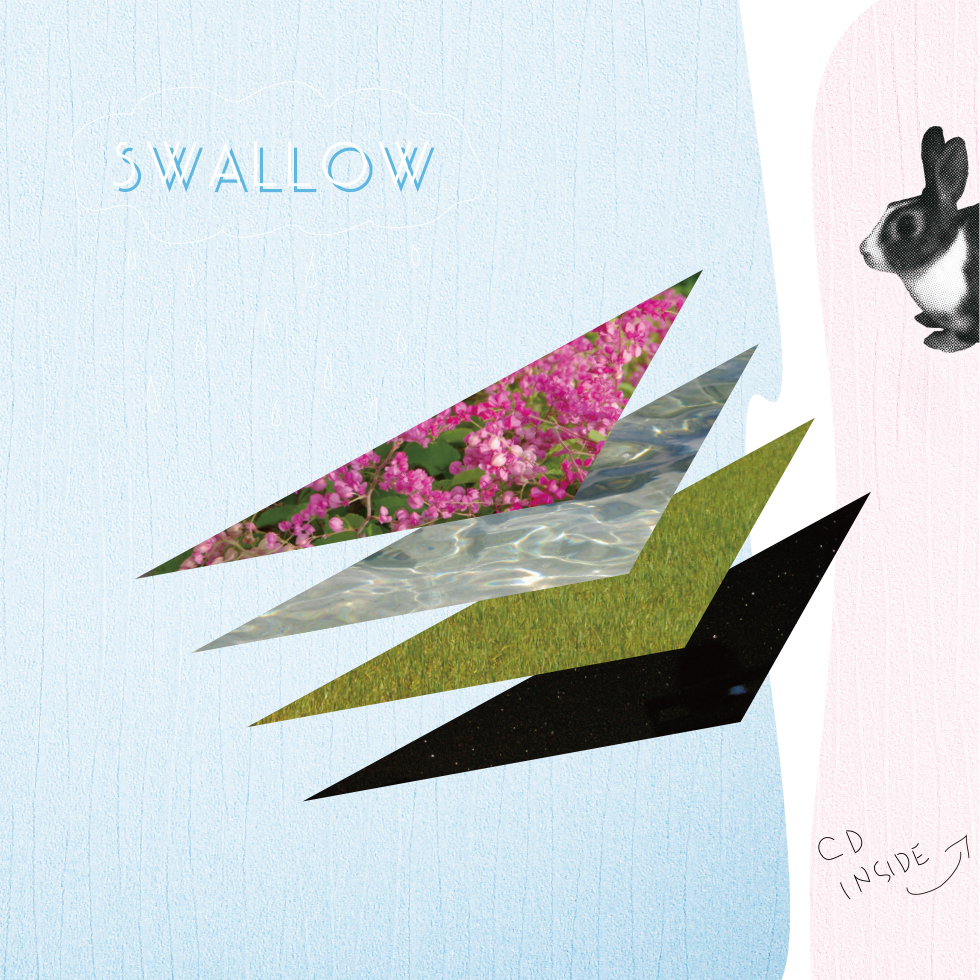 END-003 swallow
